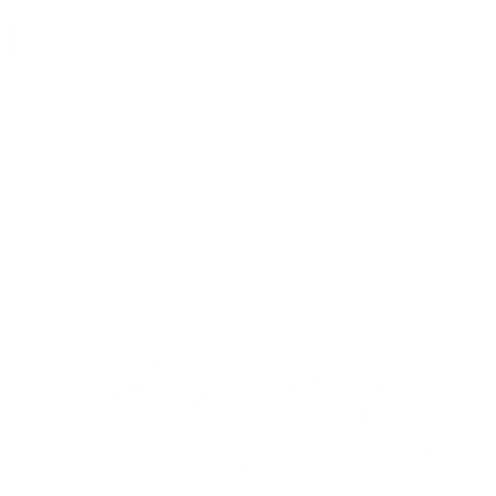 Logotipo da empresa TF Store Importados